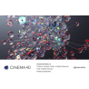 MAXON Cinema 4D 2023 (WIN) - Download Link