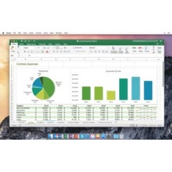 Microsoft Office 2019 H&B (MAC) - Download Link + License