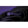Microsoft Windows 11 Pro - Download Link + Key